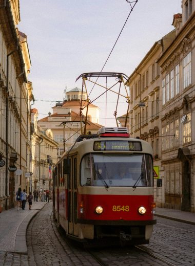 pexels-photo-32330294-32330294-7